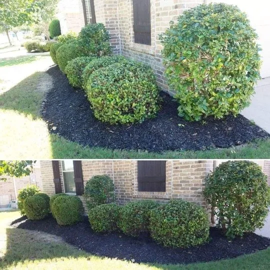 Reliable yard maintenance experts serving McKinney, TX - Mower Man Lawn Service