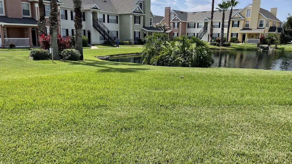 Professional lawn care service experts serving Orlando, FL - Mower Men