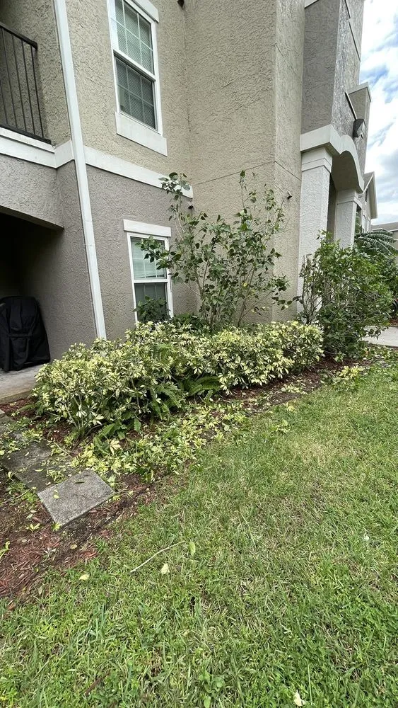 Custom outdoor landscaping experts serving Orlando, FL - Mower Men