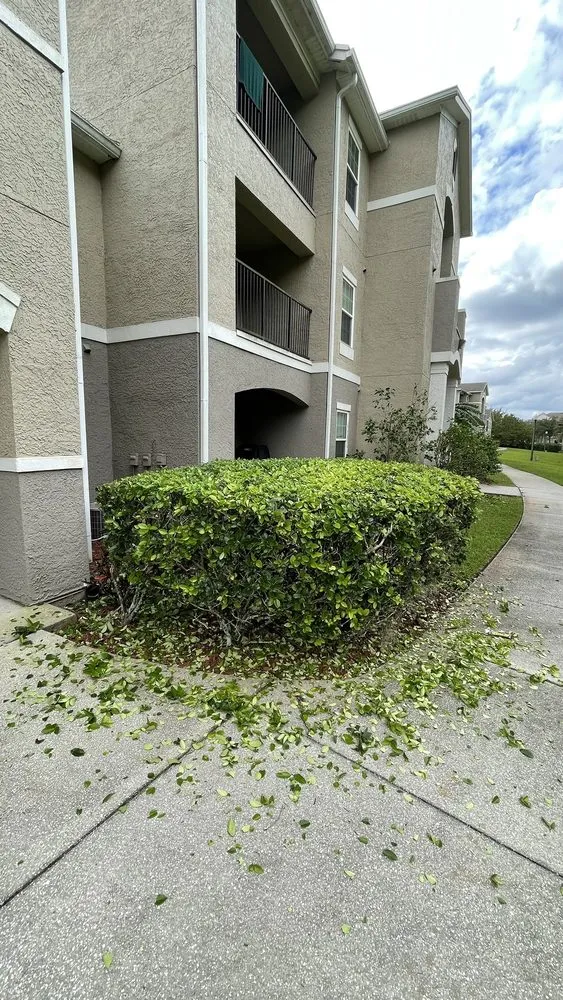 Top-rated lawn care service in Orlando, FL by Mower Men