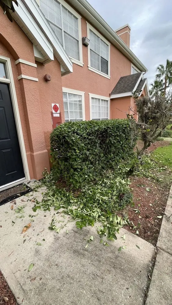 Professional landscape installation in Orlando, FL by Mower Men