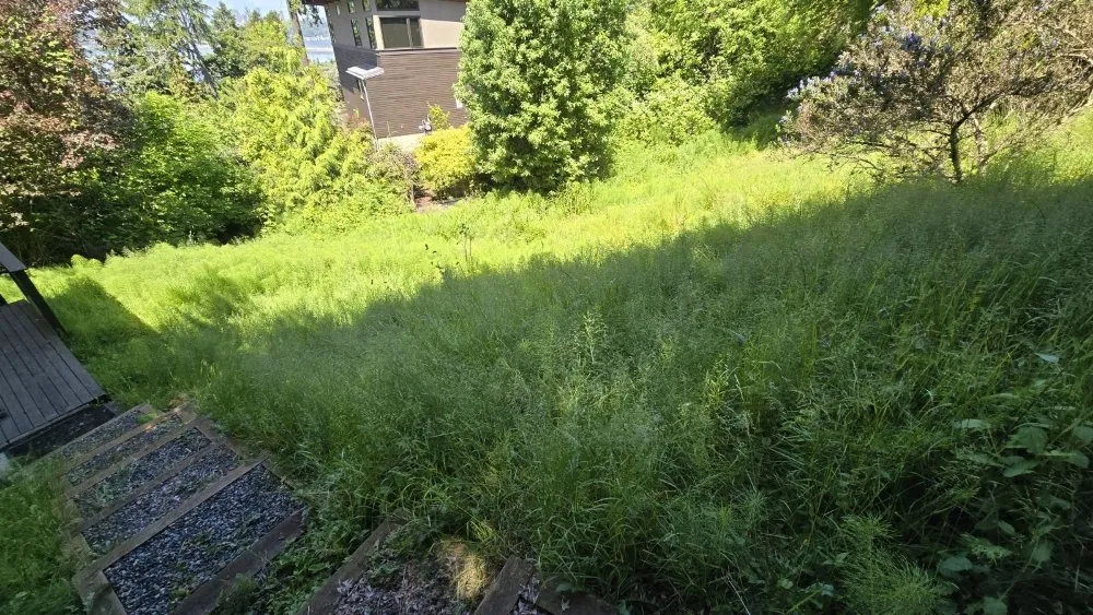 Affordable lawn mowing service in Tacoma, WA by Mowers & Growers