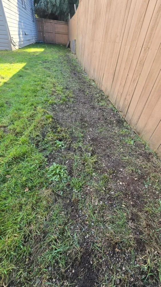Professional landscape installation in Tacoma, WA - Mowers & Growers