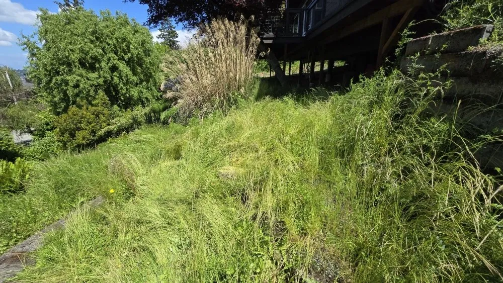 Professional garden landscaping near you in Tacoma, WA by Mowers & Growers