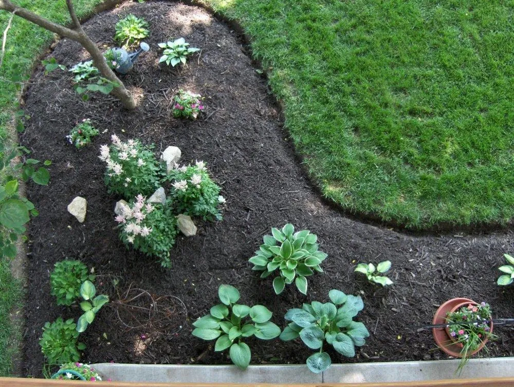 Professional yard cleanup service for homes across Kansas City, MO - Mowers Ahead Lawn and Landscape