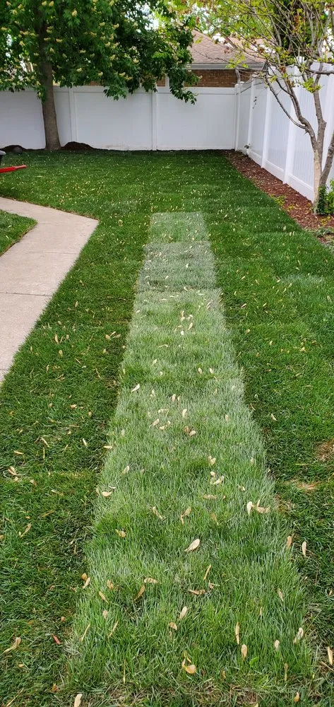Affordable garden landscaping in Chicago, IL - Mowers and Rakers