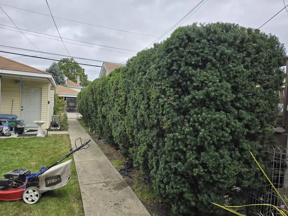 Top-rated garden landscaping in Chicago, IL by Mowers and Rakers