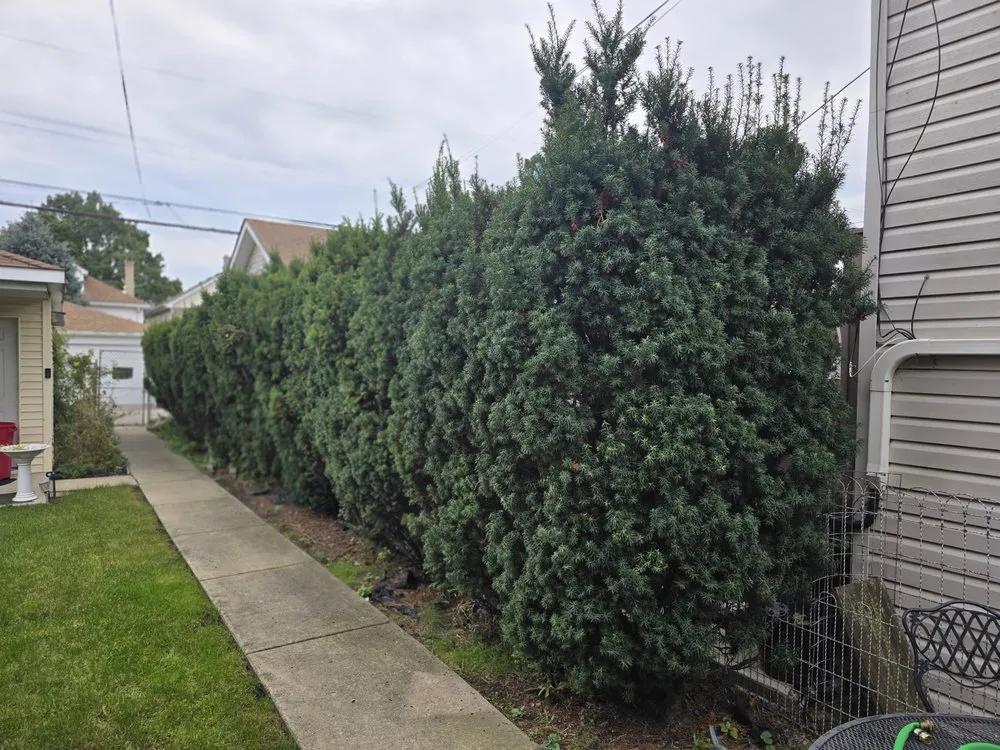 Top-rated garden landscaping with custom design across Chicago, IL - Mowers and Rakers