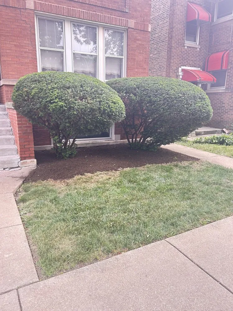 Top-rated lawn care service for residential properties in Chicago, IL by Mowers and Rakers