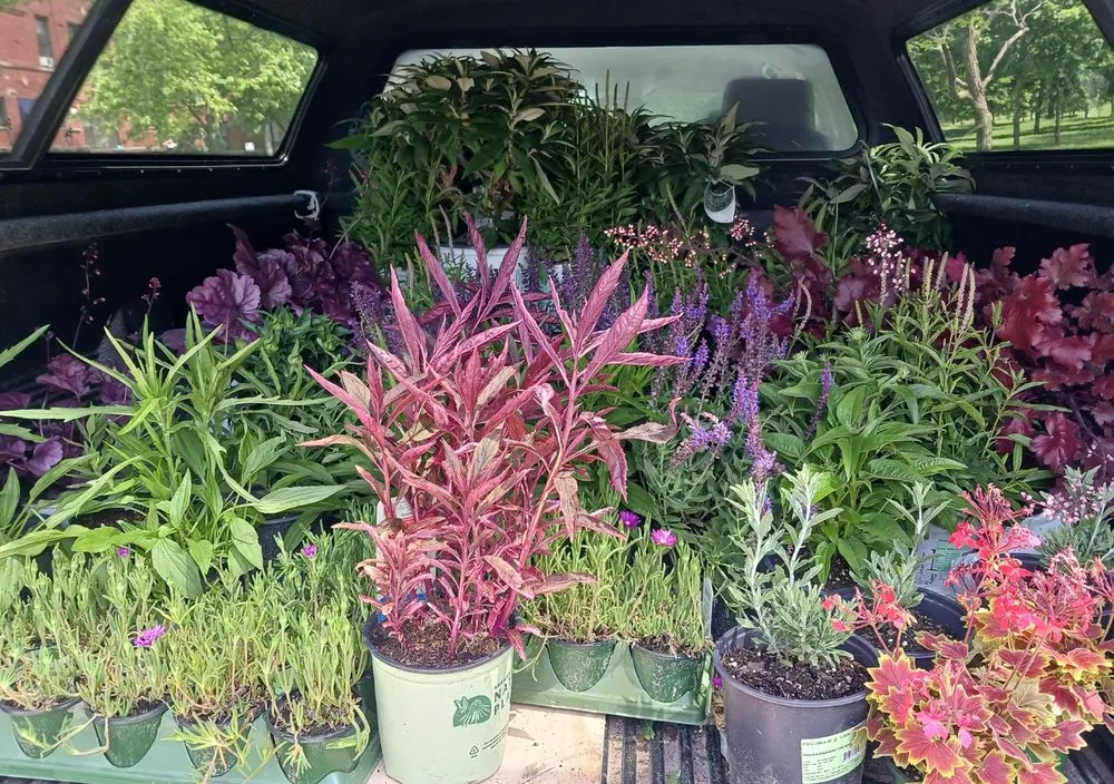 Custom landscape installation with custom design in Chicago, IL by Mowers and Rakers