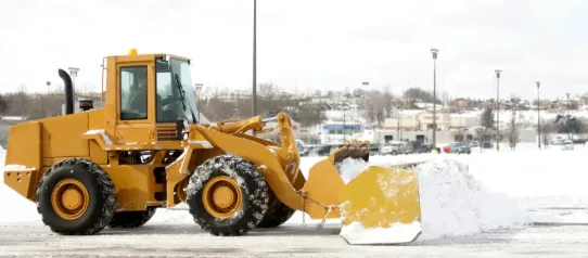 Trusted landscape installation with custom design in Chicago, IL by Mowers and Rakers