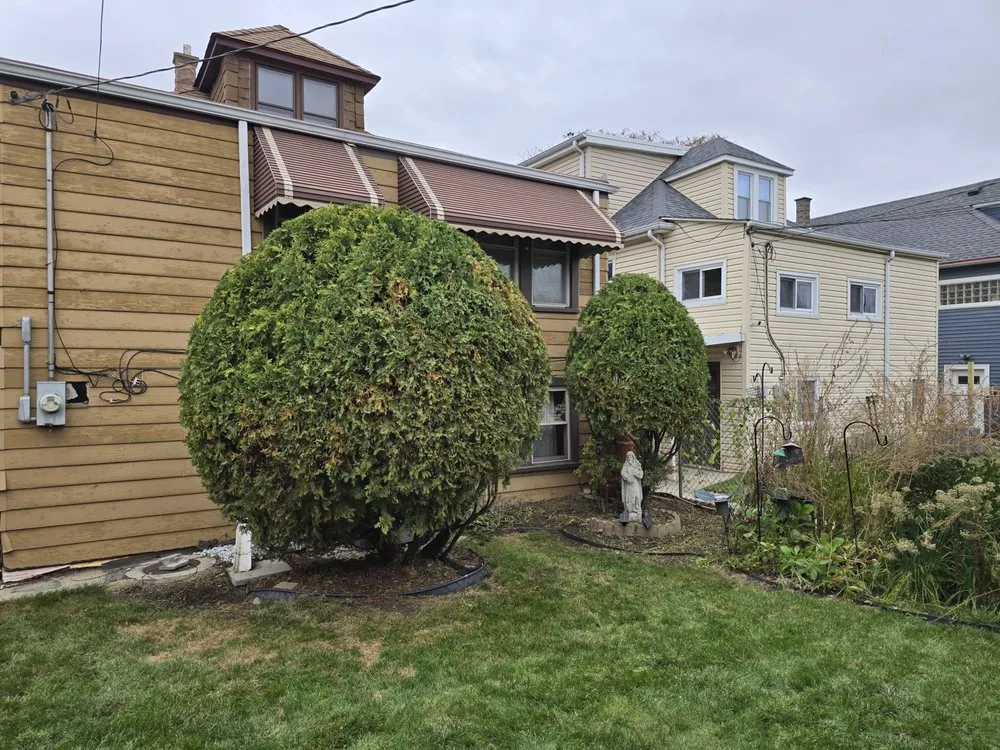 Affordable lawn mowing service experts serving Chicago, IL - Mowers and Rakers