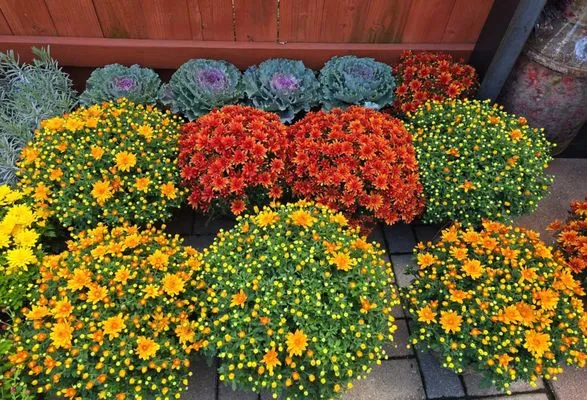 Mowers and Rakers Logo