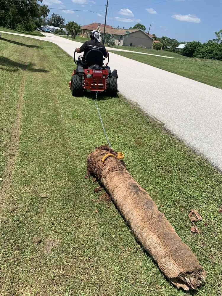 Affordable landscape design experts serving Sarasota, FL - Mowers Ark Lawn Care