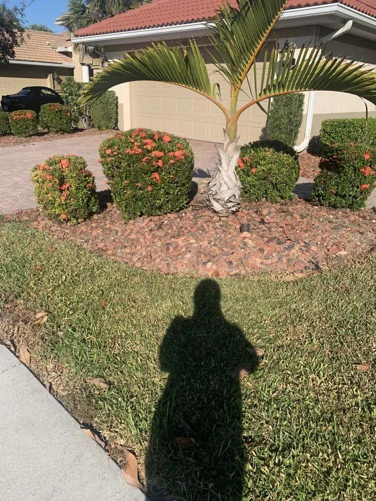 Top-rated landscape installation in Sarasota, FL - Mowers Ark Lawn Care