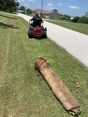 Mowers Ark Lawn Care Logo