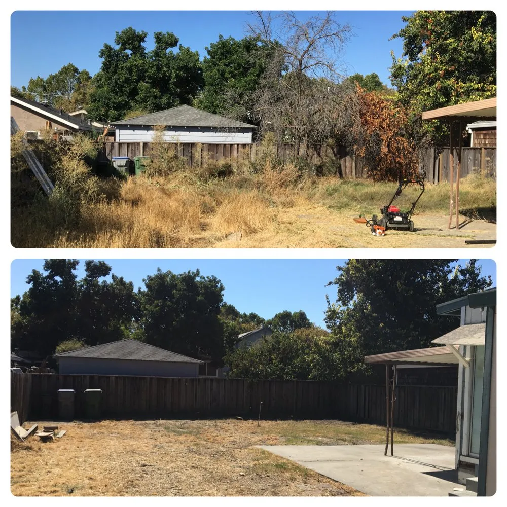 Trusted yard cleanup service with custom design across San Jose, CA - Mowers N' Blowers Landscaping