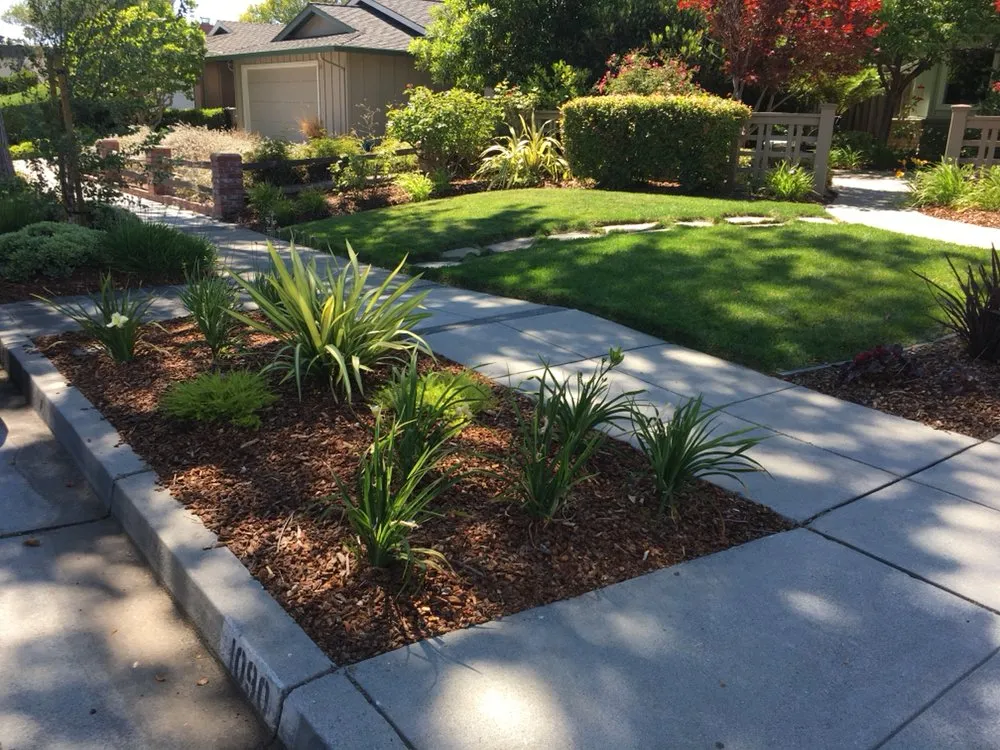 Custom lawn mowing service in San Jose, CA - Mowers N' Blowers Landscaping