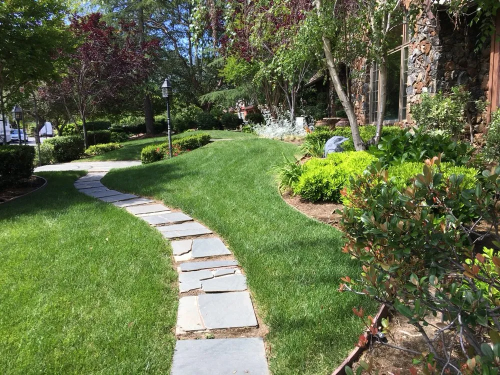 Expert yard maintenance in San Jose, CA by Mowers N' Blowers Landscaping