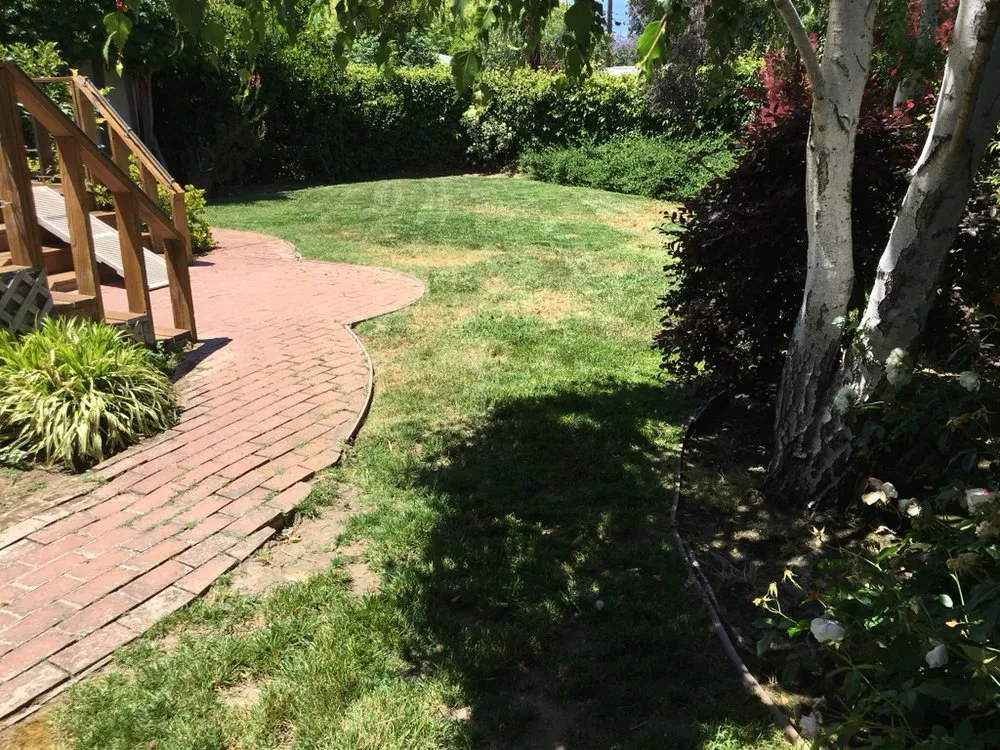 Top-rated residential landscaping in San Jose, CA by Mowers N' Blowers Landscaping