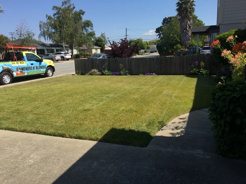 Custom landscaping services for year-round maintenance across San Jose, CA - Mowers N' Blowers Landscaping