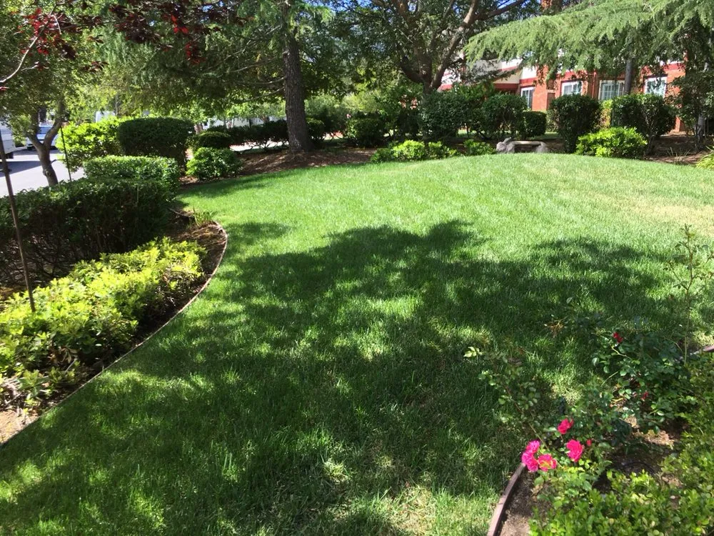 Custom garden landscaping near you in San Jose, CA by Mowers N' Blowers Landscaping
