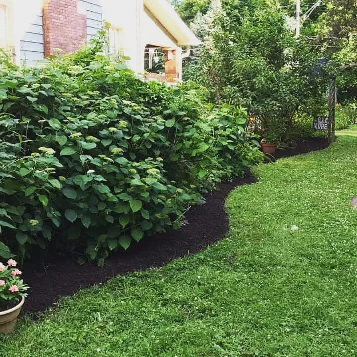 Reliable yard maintenance for residential properties in Cumberland, IN by MowFo Lawn And Landscape