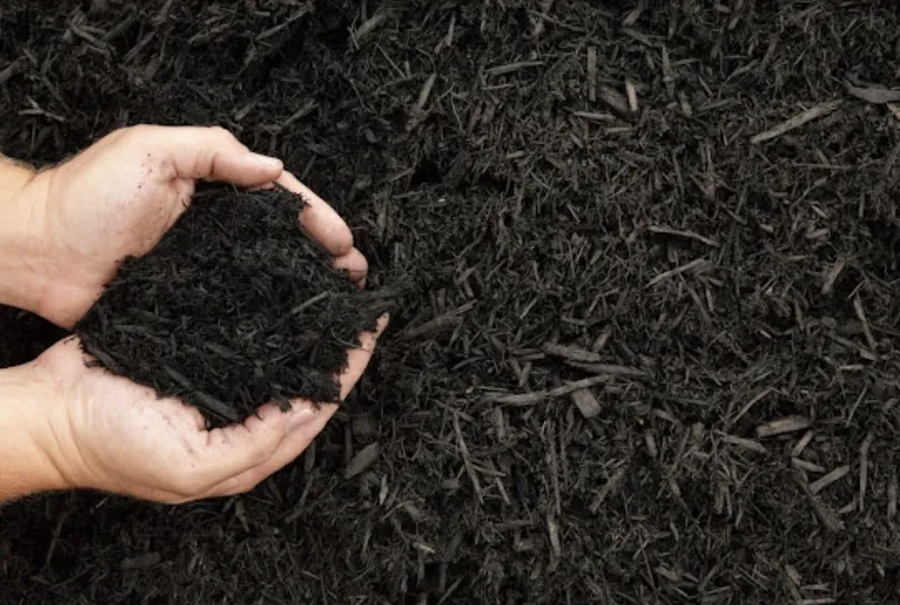 Local garden landscaping with custom design in Riverdale, GA by MowGoatz lawn service