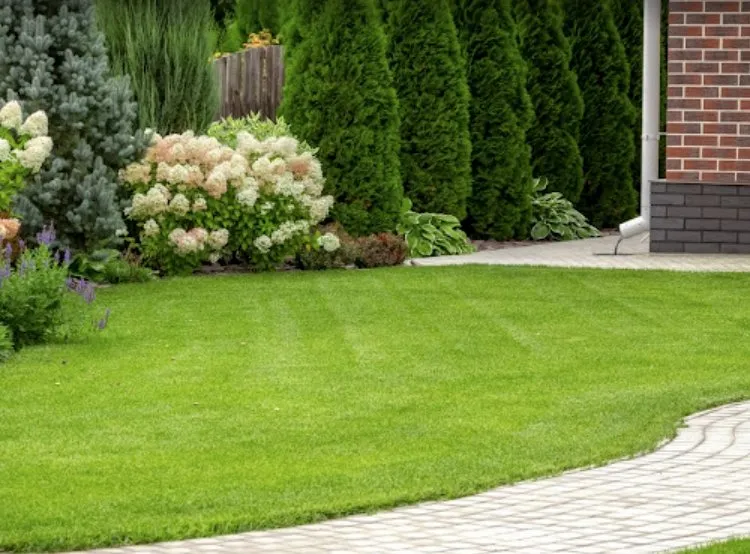 Expert garden landscaping for year-round maintenance across Riverdale, GA - MowGoatz lawn service