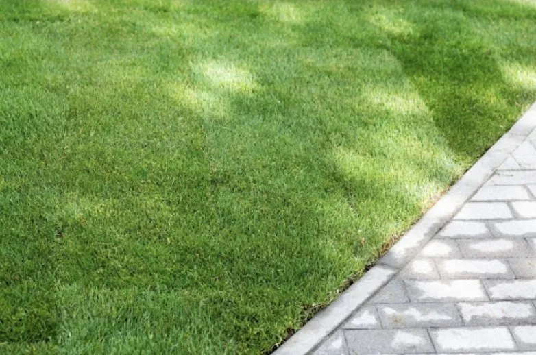Expert yard cleanup service for homes in Riverdale, GA by MowGoatz lawn service