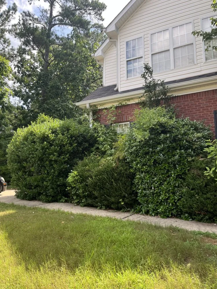 Trusted landscape installation in Riverdale, GA by MowGoatz lawn service