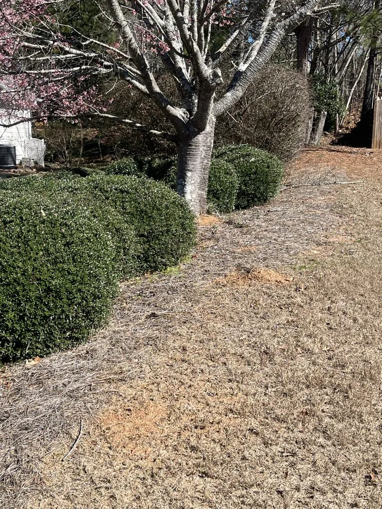 Custom outdoor landscaping in Riverdale, GA by MowGoatz lawn service