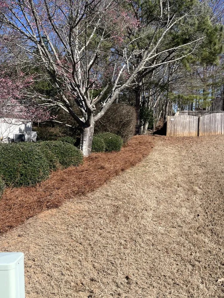 Custom yard maintenance for year-round maintenance across Riverdale, GA - MowGoatz lawn service