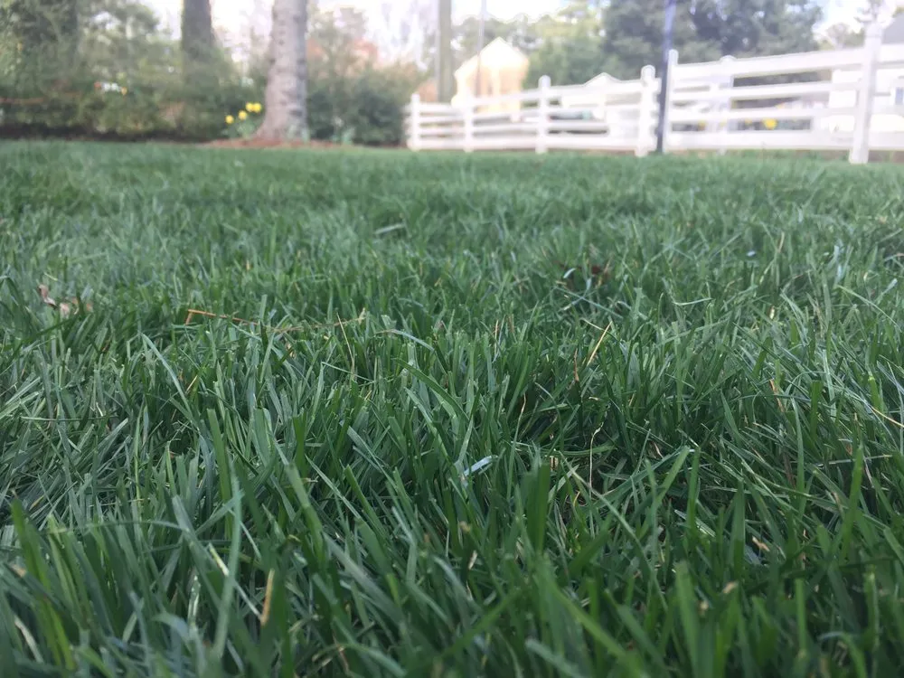 Reliable yard maintenance in Richmond, VA by MowHawks