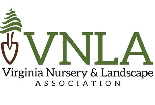 Professional yard cleanup service in Richmond, VA by MowHawks