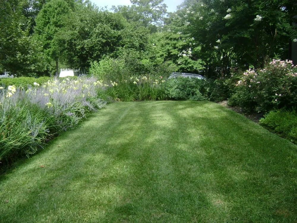 Top-rated yard cleanup service for outdoor upgrades in Chevy Chase, MD by Mowing & More