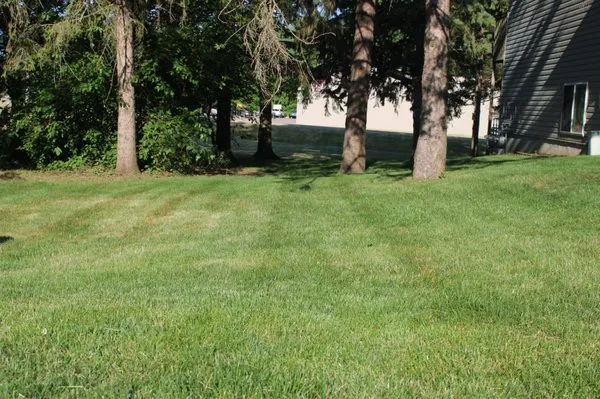 Mowing & Trimming by Trevor