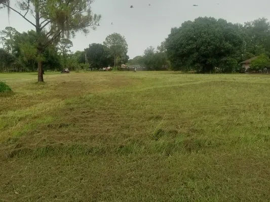 Mowing & Weedeating Logo