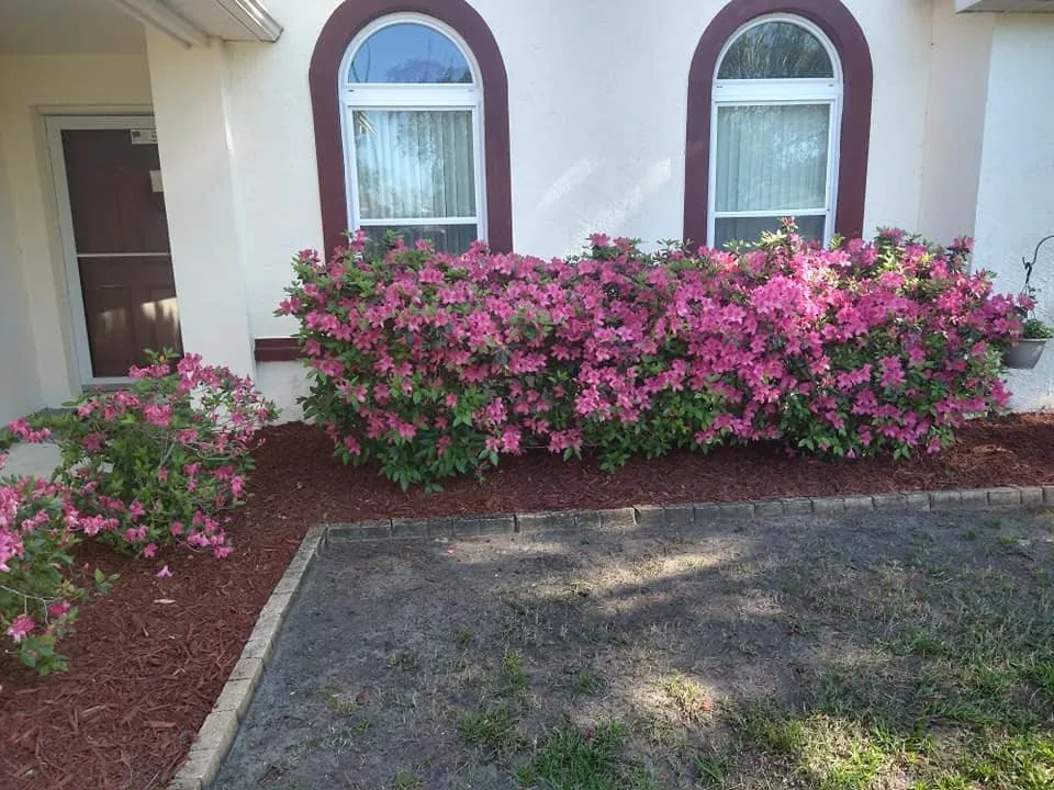 Reliable lawn care service with custom design in Spring Hill, FL by Mowing America 