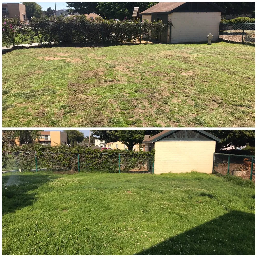 Reliable landscape design experts serving Grover Beach, CA - Mowing Ape Yard Care