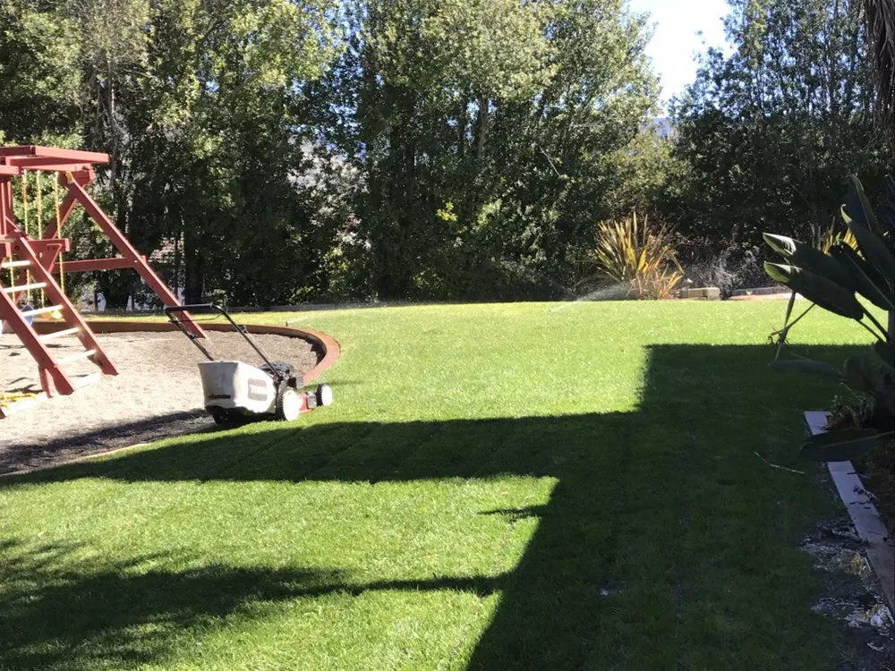 Expert lawn care service experts serving Grover Beach, CA - Mowing Ape Yard Care