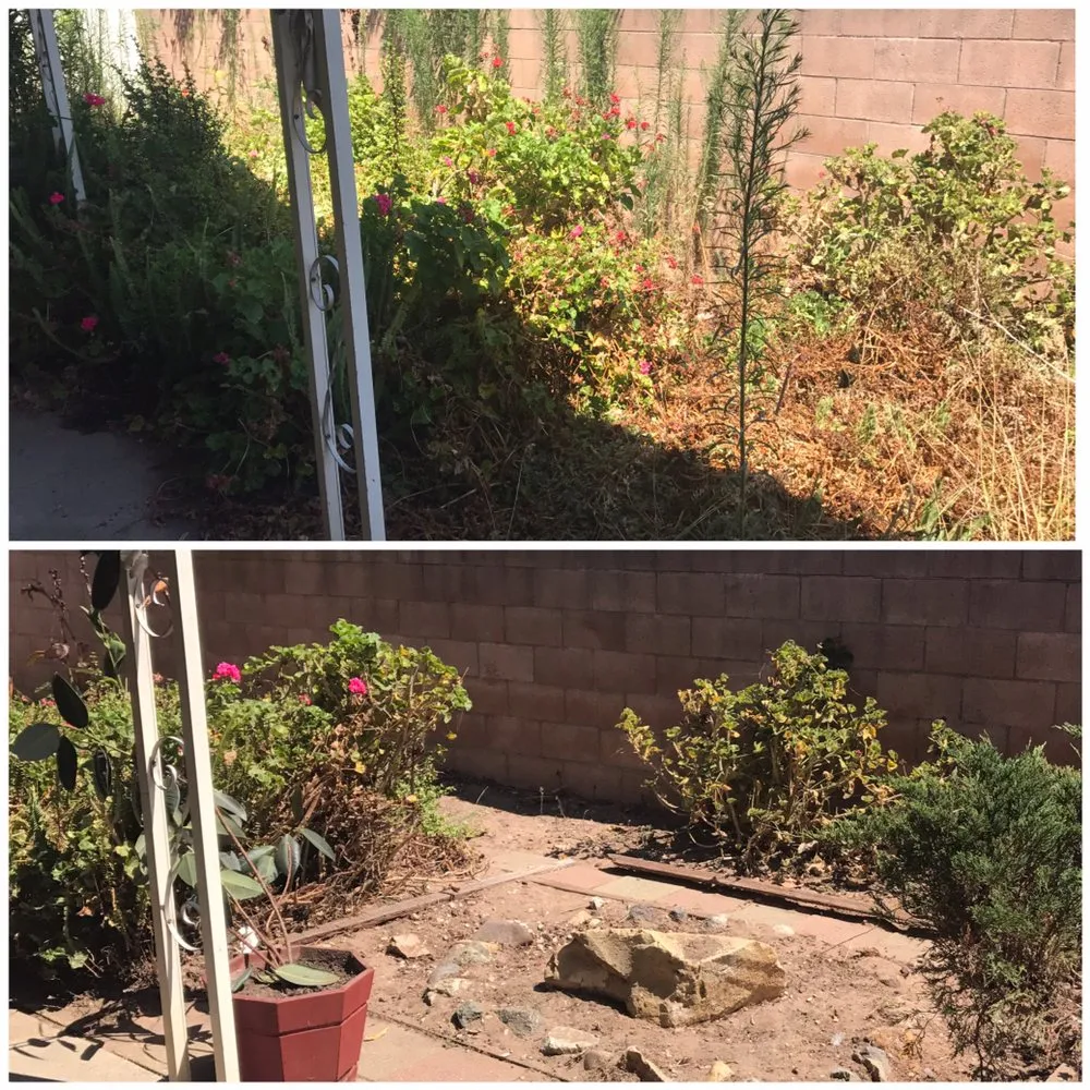 Reliable outdoor landscaping experts serving Grover Beach, CA - Mowing Ape Yard Care