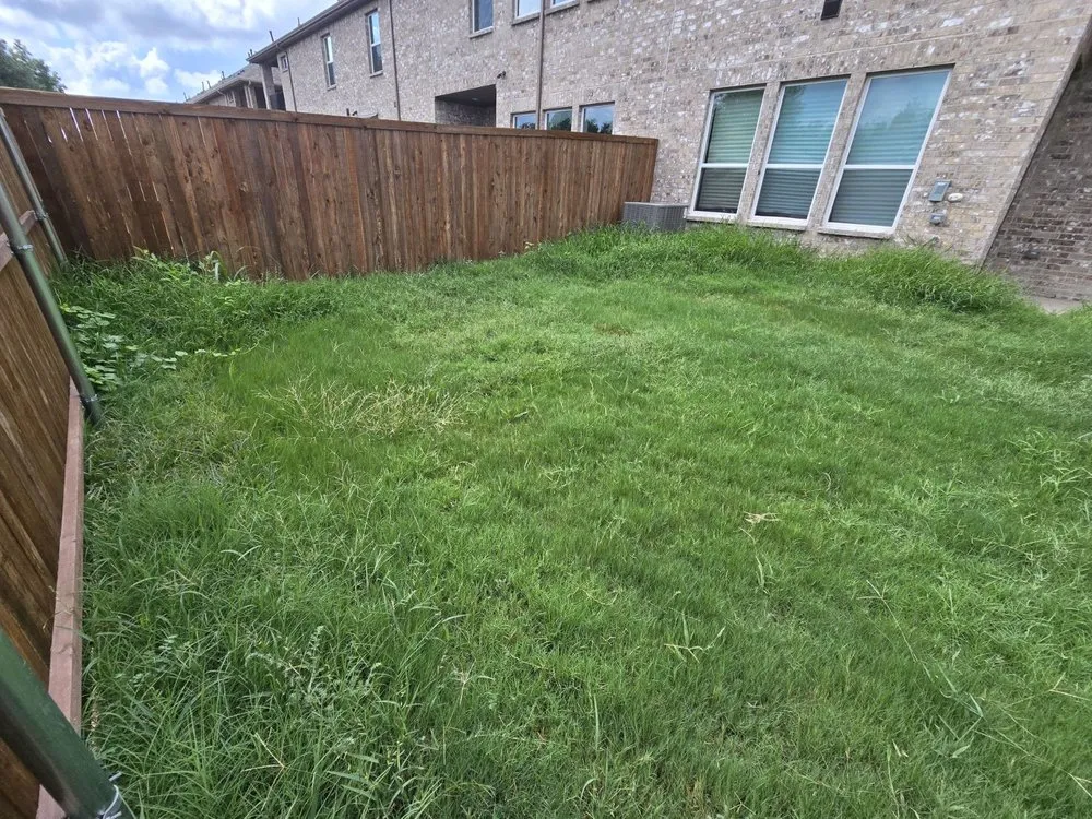 Affordable landscape installation in Celina, TX - Mowing Best
