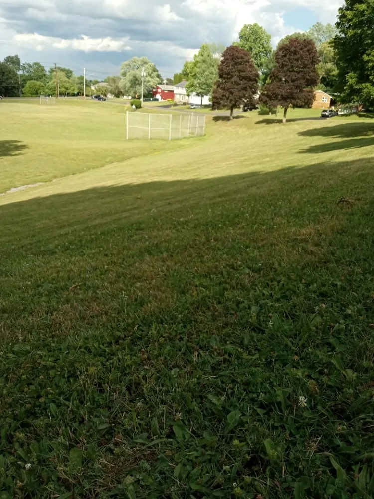 Affordable lawn care service in Syracuse, NY by Mowing Can Carr