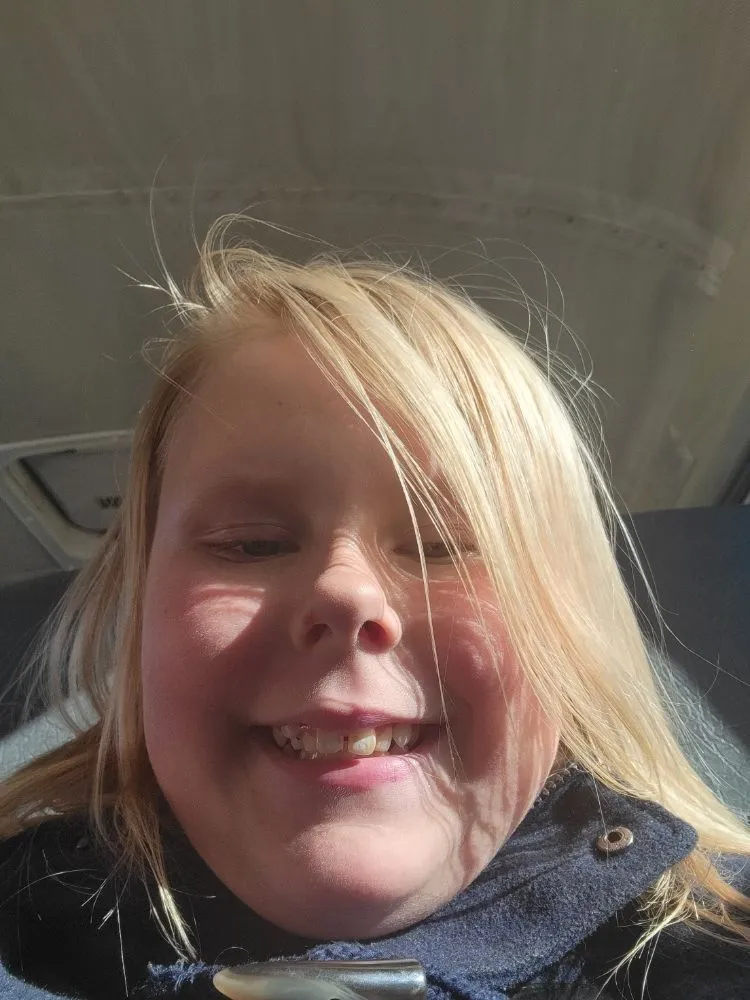 Expert landscape installation in Windom, MN - Mowing Dogs