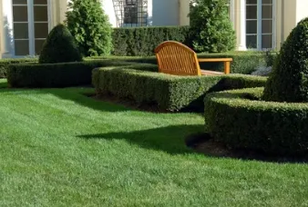 Reliable lawn mowing service in Titusville, FL - Mowing Express Lawn Care