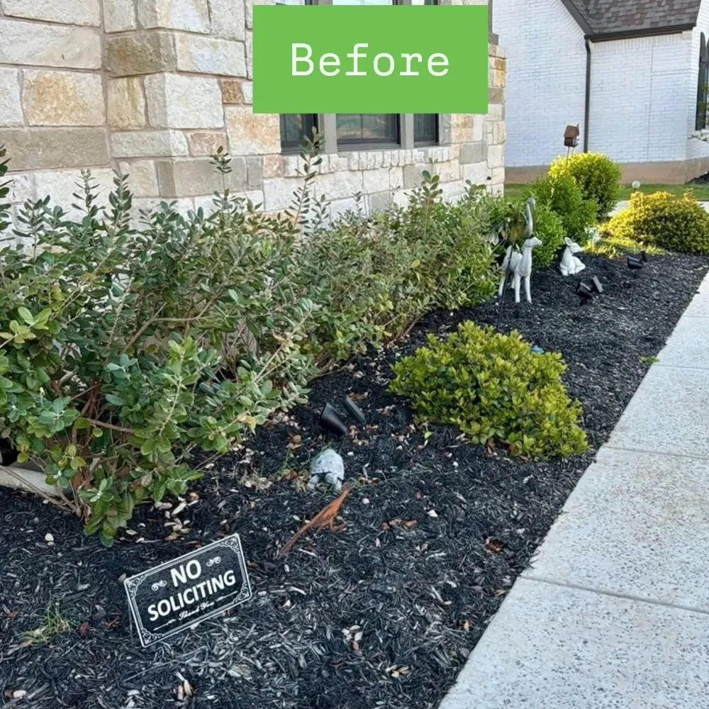 Top-rated outdoor landscaping experts serving Cedar Park, TX - Mowing Legends