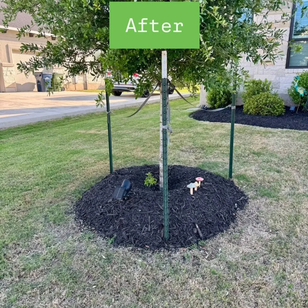 Top-rated landscaping services in Cedar Park, TX by Mowing Legends