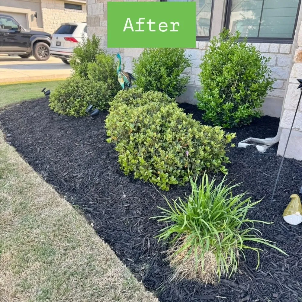 Expert landscape design in Cedar Park, TX by Mowing Legends