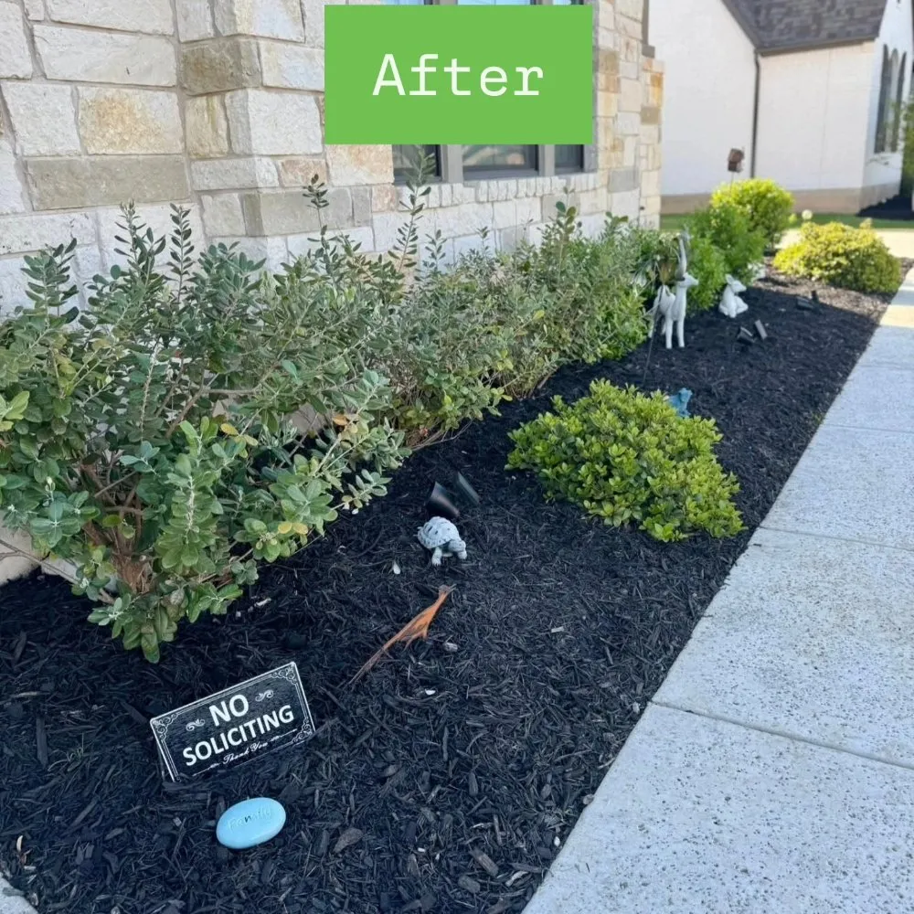 Reliable landscaping services in Cedar Park, TX - Mowing Legends